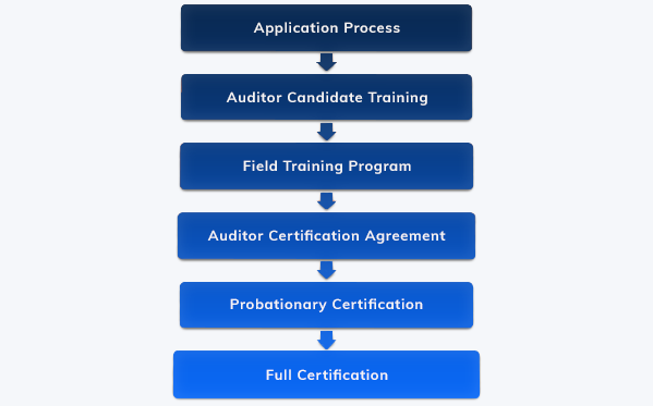 Auditor certification process